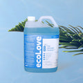 Windows & Glass - 5L